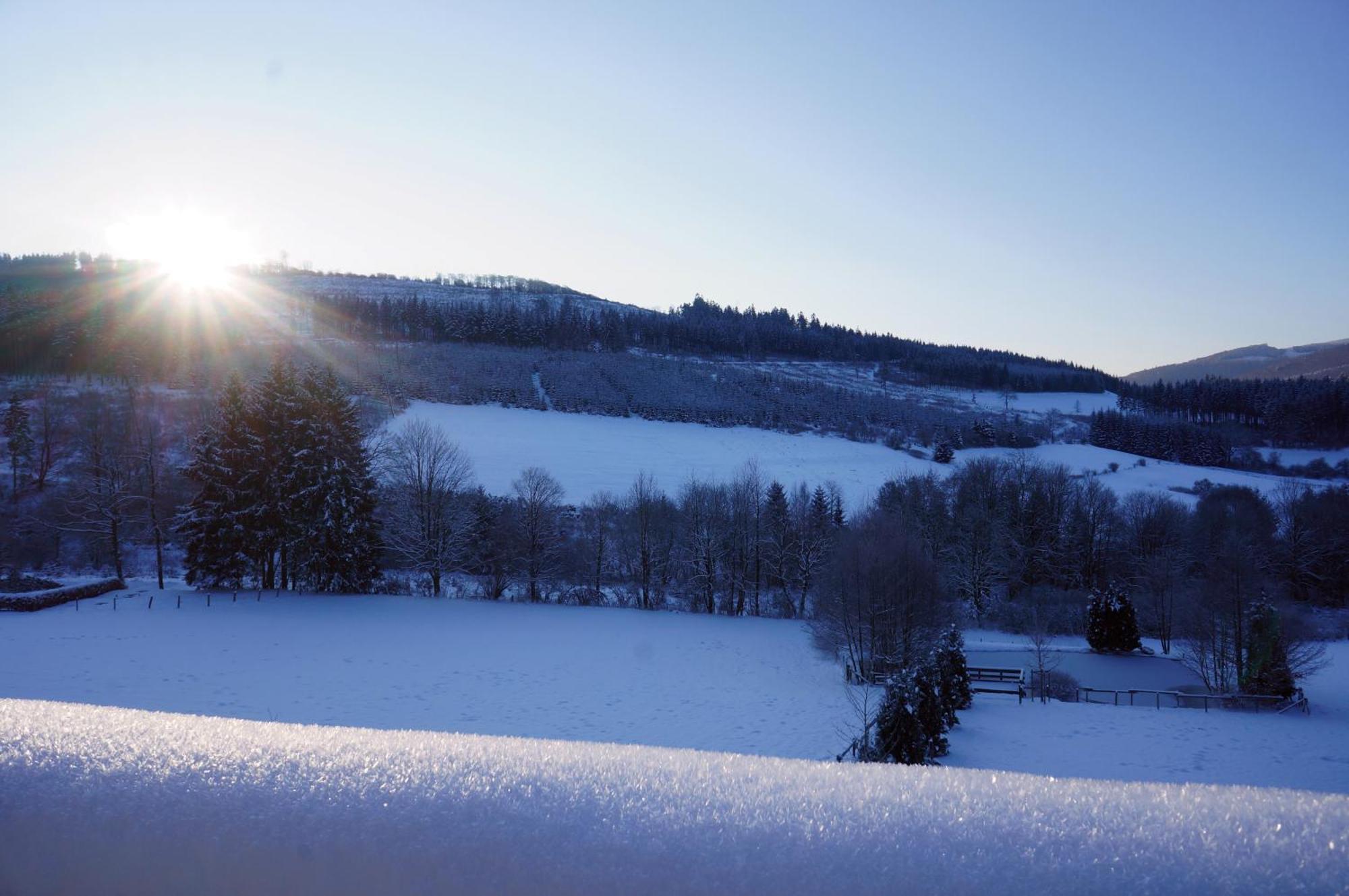Waldhotel Schinkenwirt Olsberg Kültér fotó