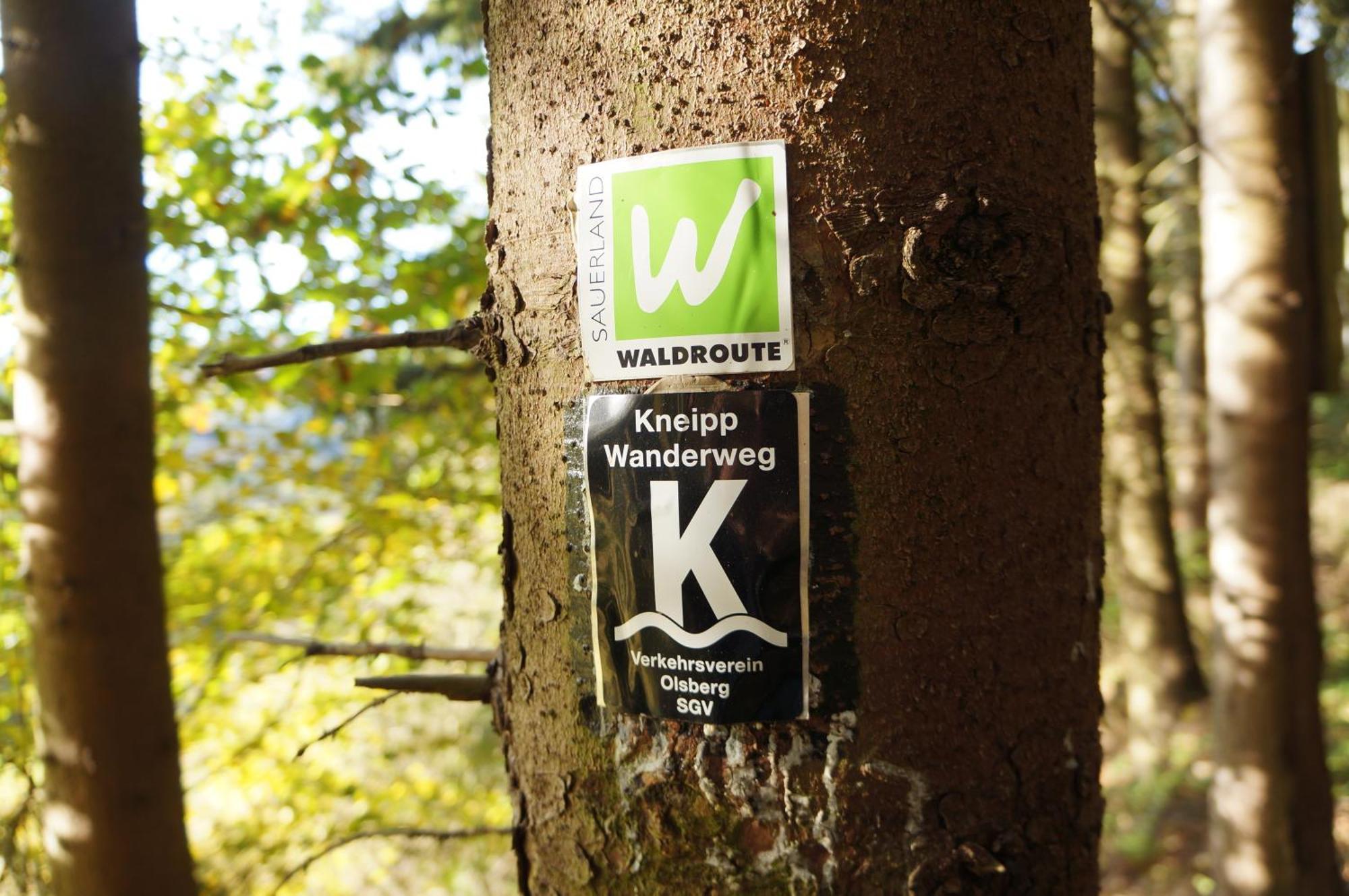 Waldhotel Schinkenwirt Olsberg Kültér fotó