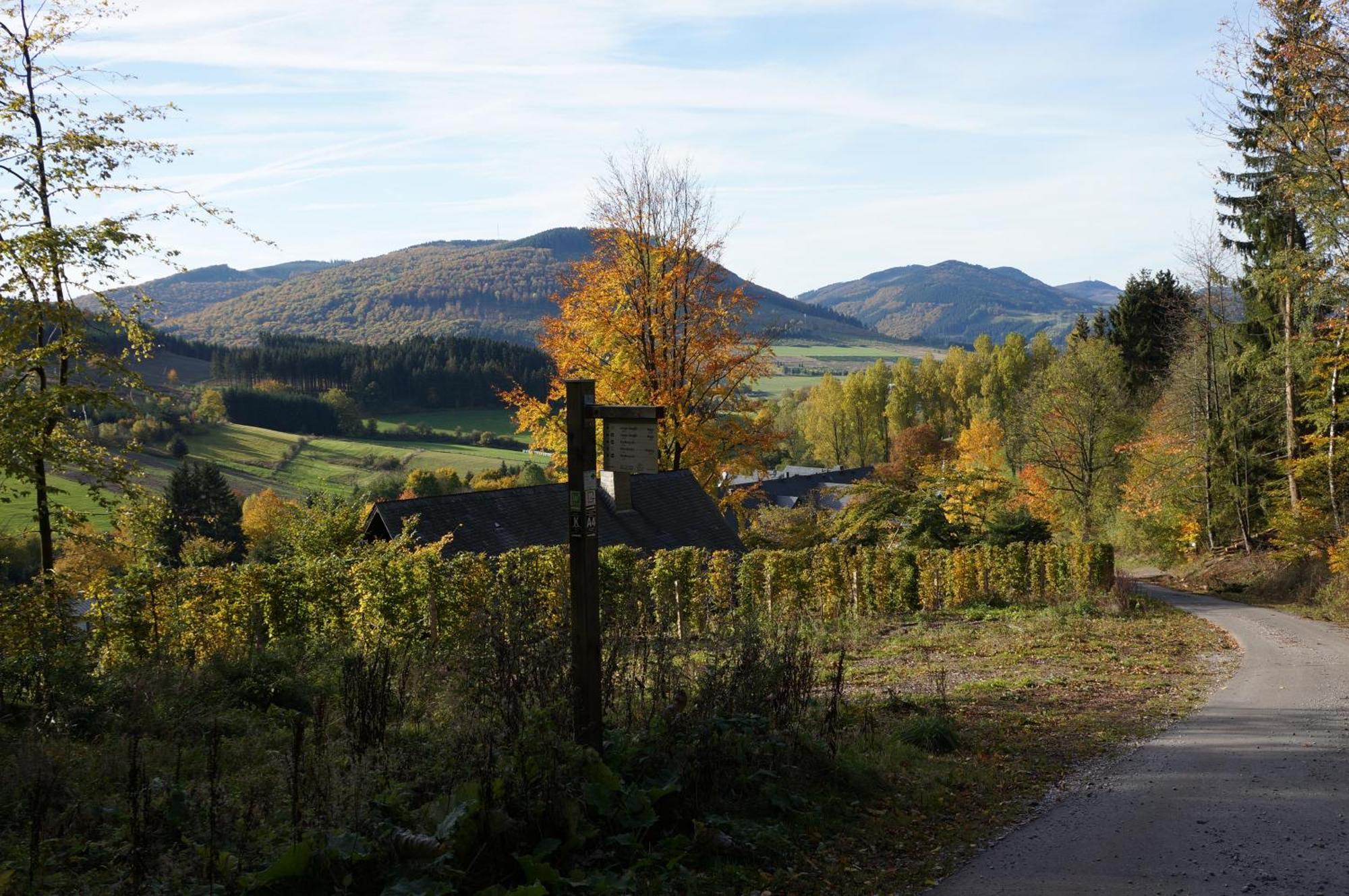 Waldhotel Schinkenwirt Olsberg Kültér fotó